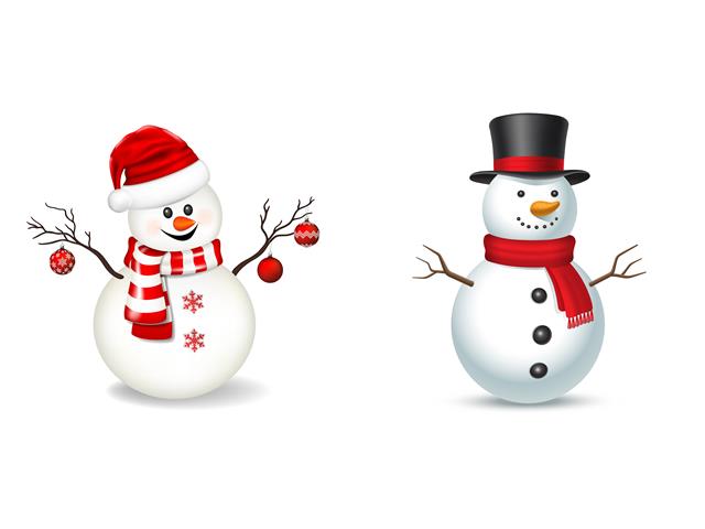 Set/2 Swedish Dish Cloth - Snowman