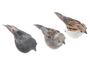 Bird Clip Set of 3