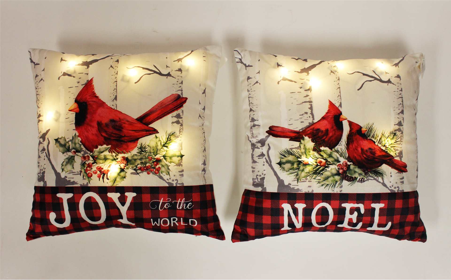 Noel or Joy Cardinal LED Cushion
