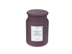 19oz. Luxe Scented Candle in Glass Jar - Champagne Petals