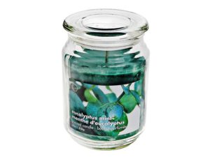 18oz. Scented Candle in Glass Jar - Eucalyptus Mint