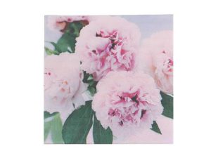 Paper Luncheon Napkin Pk/20 Peonies