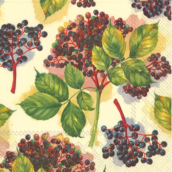 Paper Luncheon Napkin Pack/20 - Elderberry