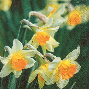 Paper Luncheon Napkin Pack/20 - Narcissus Melodies