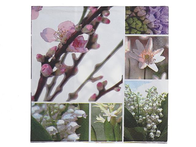 Paper Luncheon Napkin Pk/20 Peach Blossom