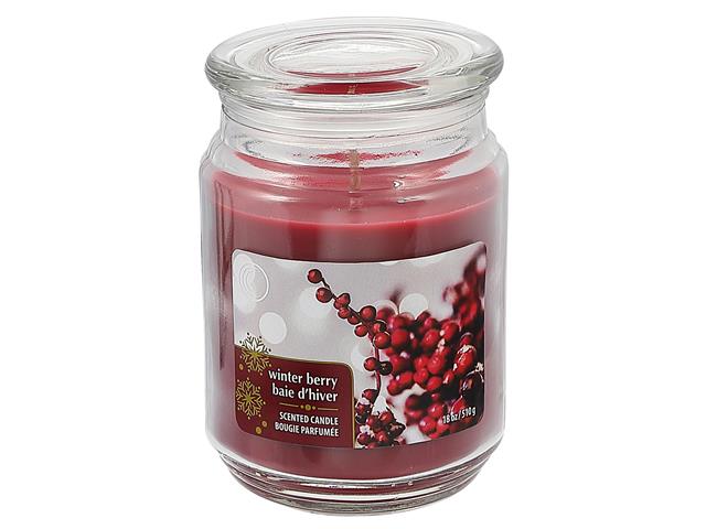 18oz. Scented Candle in Glass Jar - Winter Berry