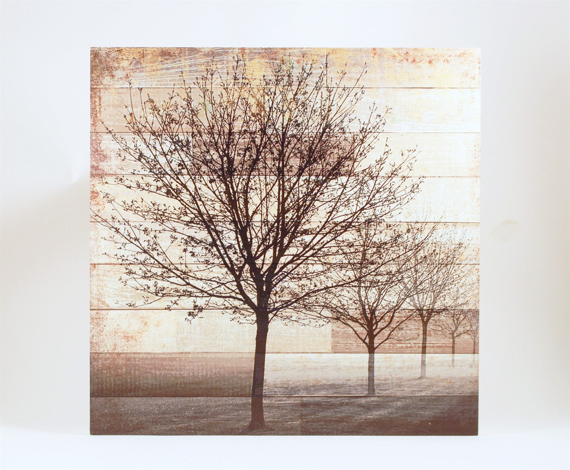 Bare Trees Wood Wall Art 23.5in