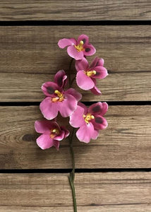 Miltoniopsis Orchid 28in
