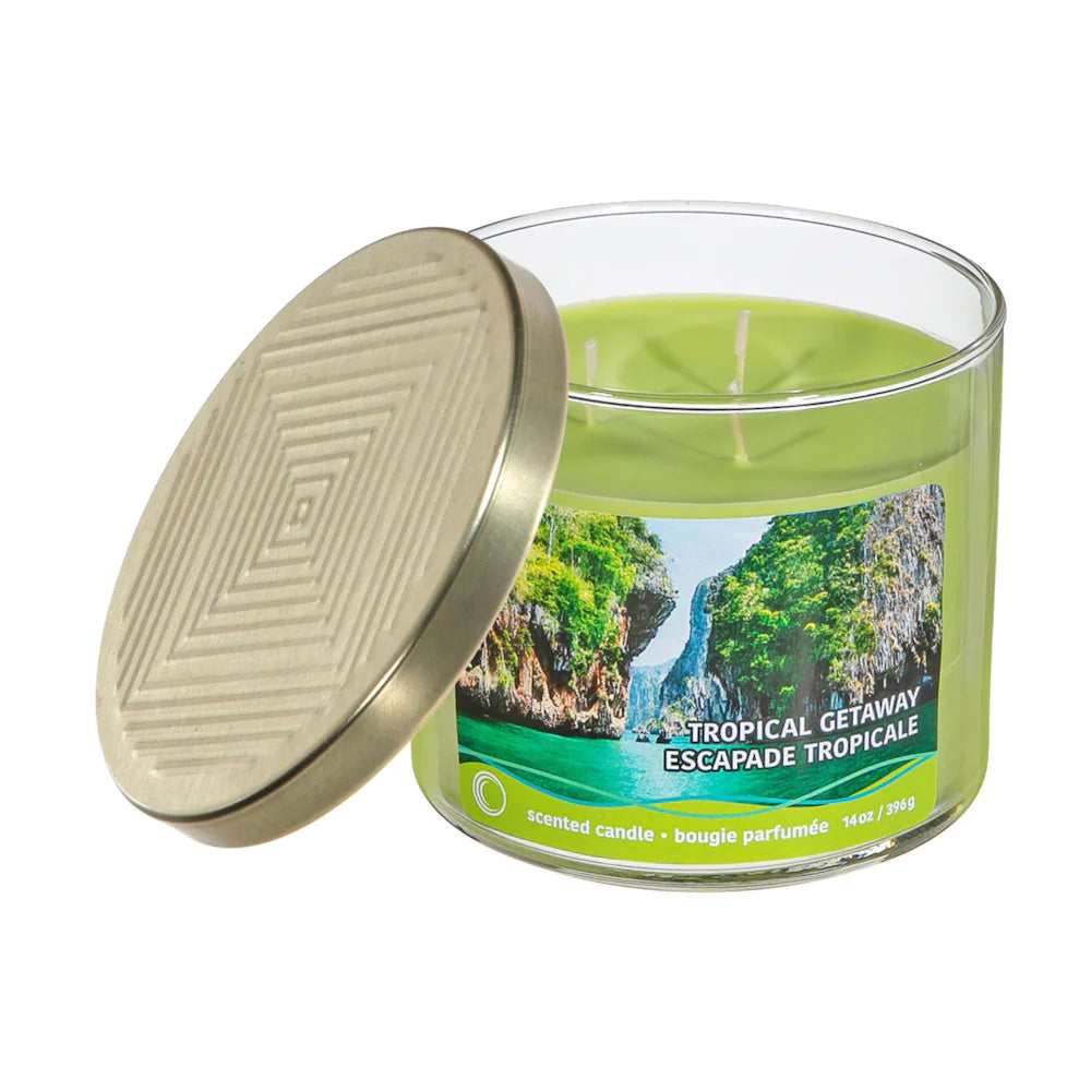14oz. 3 Wick Candle in Jar with Gold Lid - Tropical Getaway